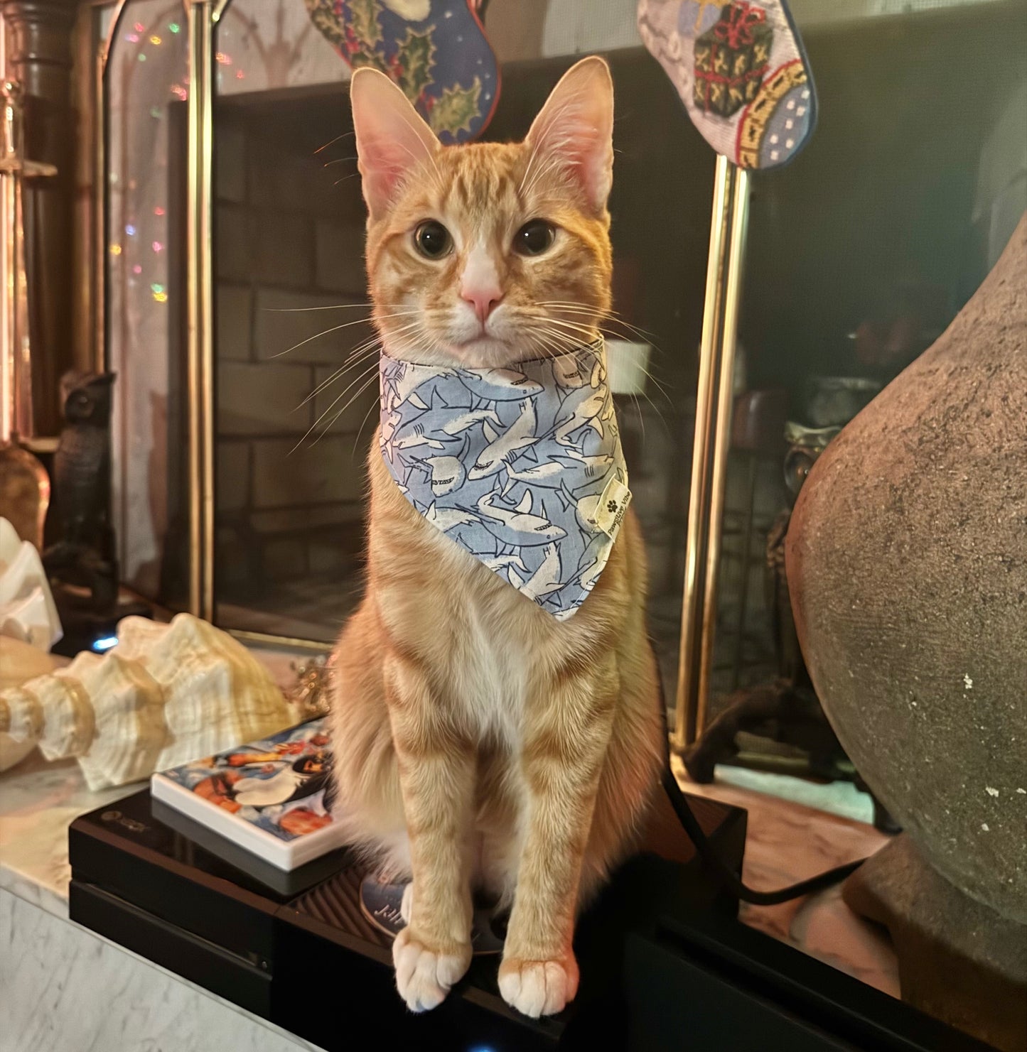 Charcuterie Cat Snap Bandana