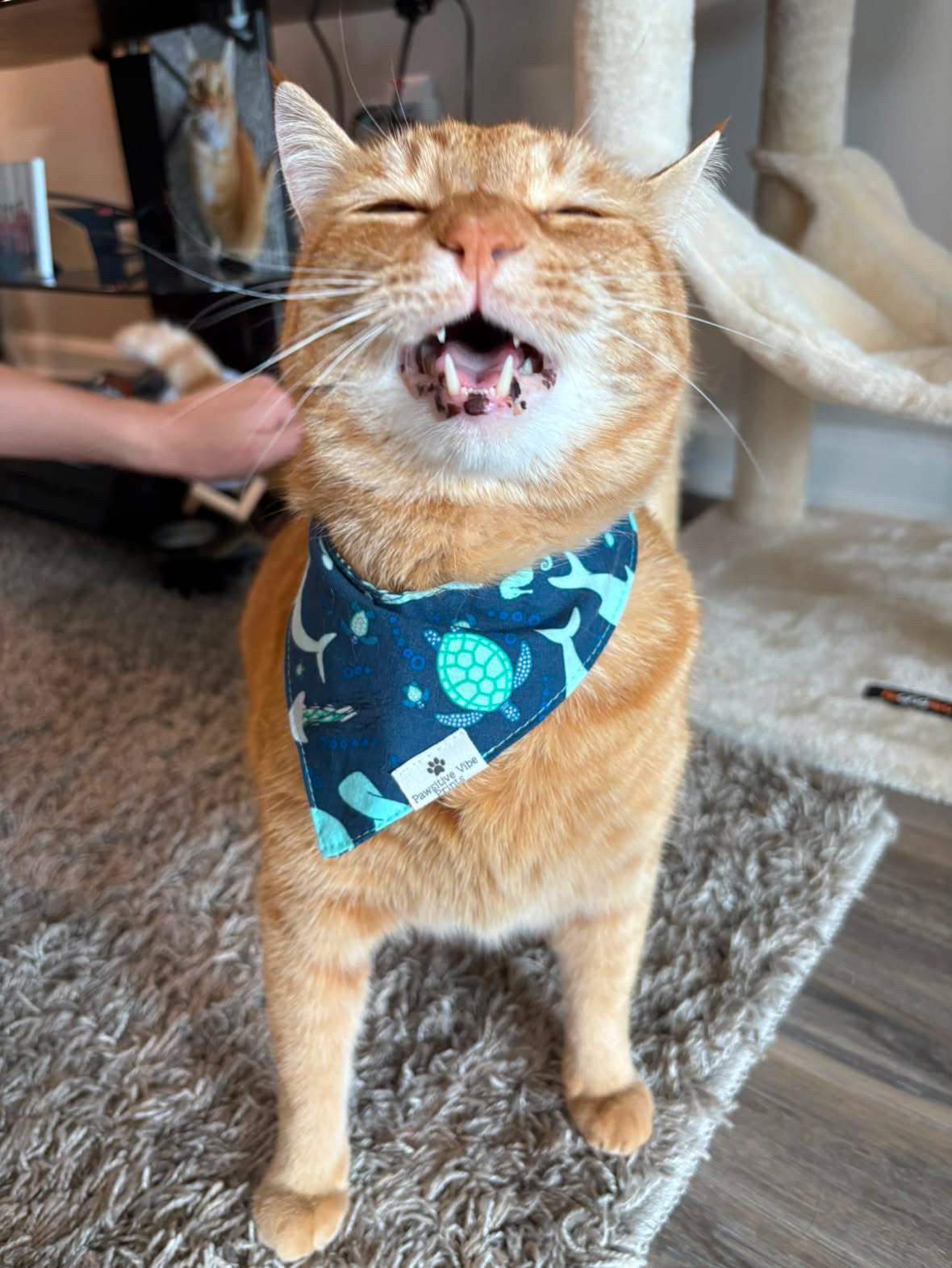 Cute Christmas Snap Bandana