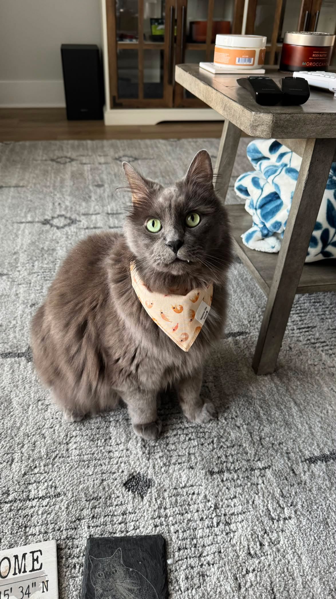 Cute Acorn Cat Snap Bandana