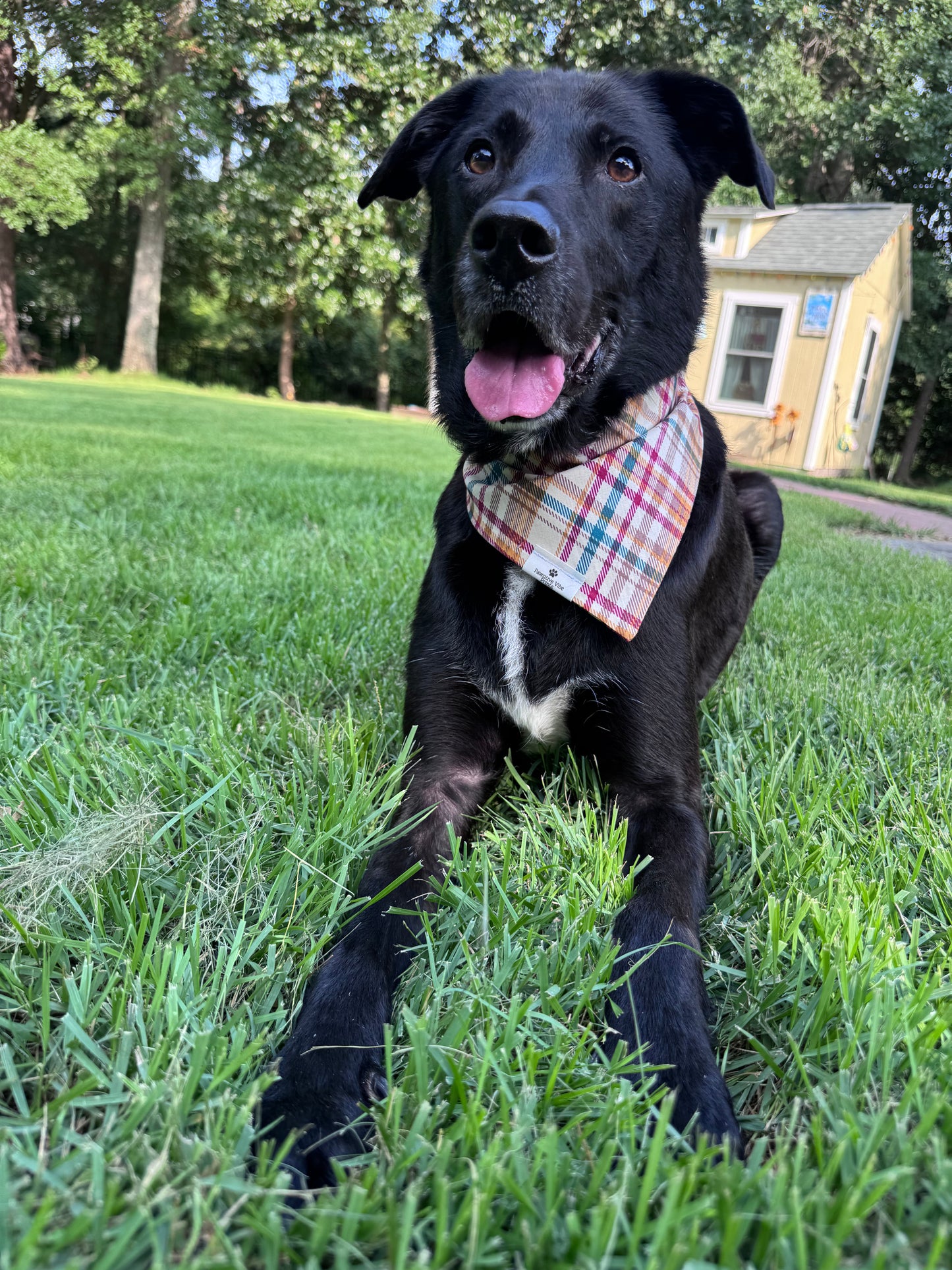 Fall Floral Dog Bandana