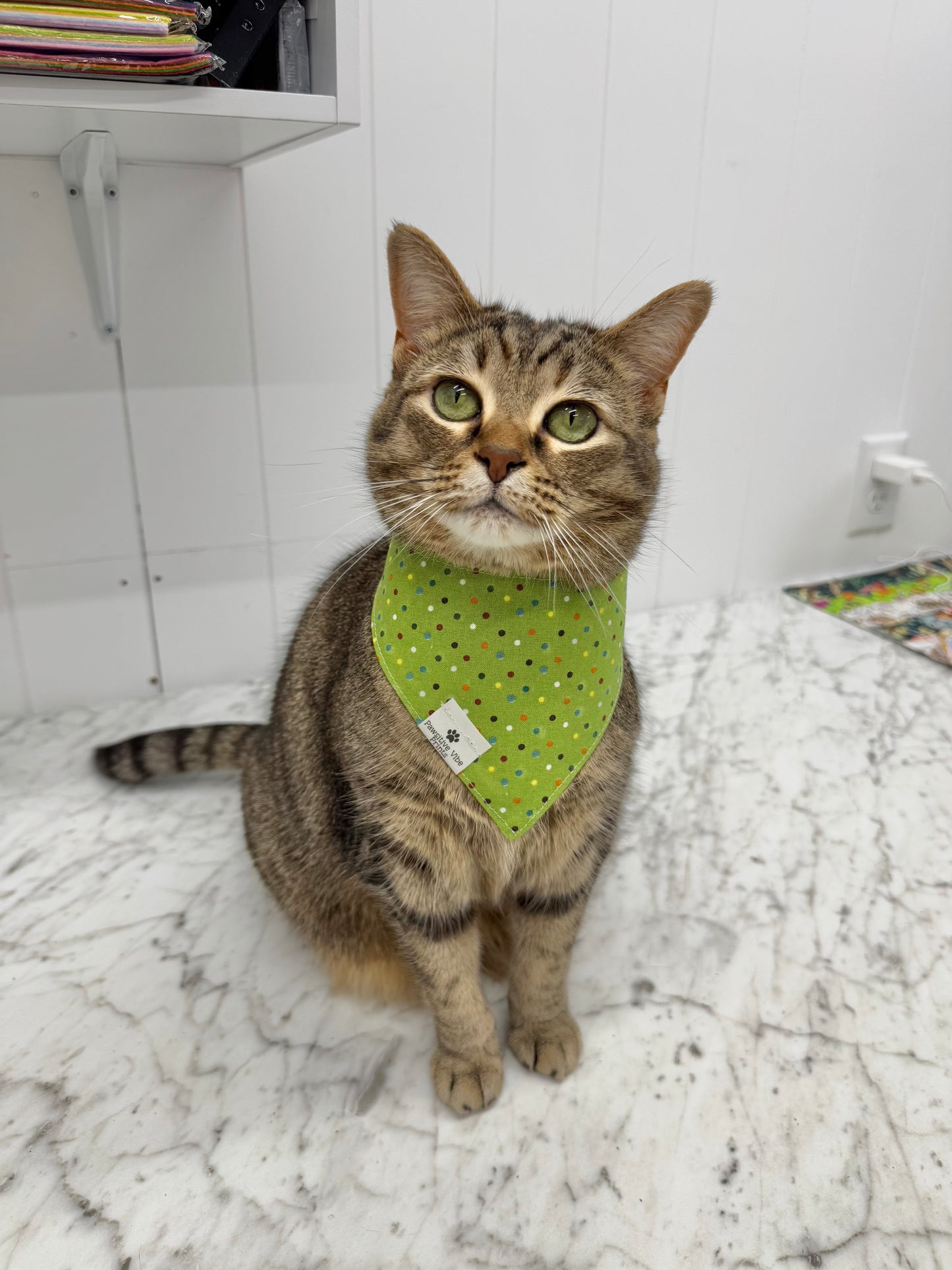 Clover Snap Bandana