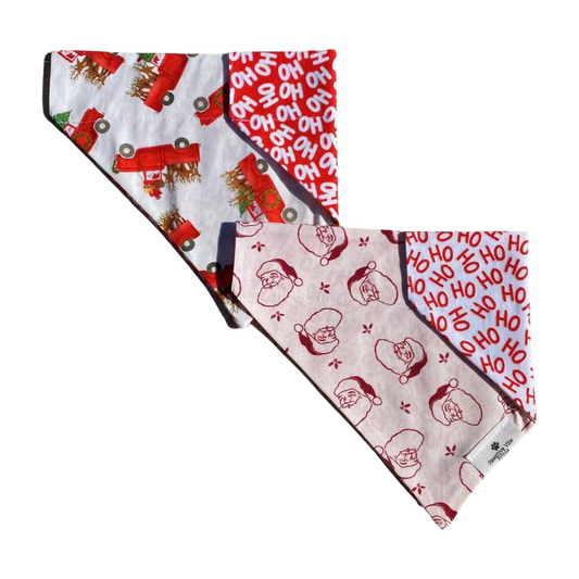 Santa & Friends Dog Bandana