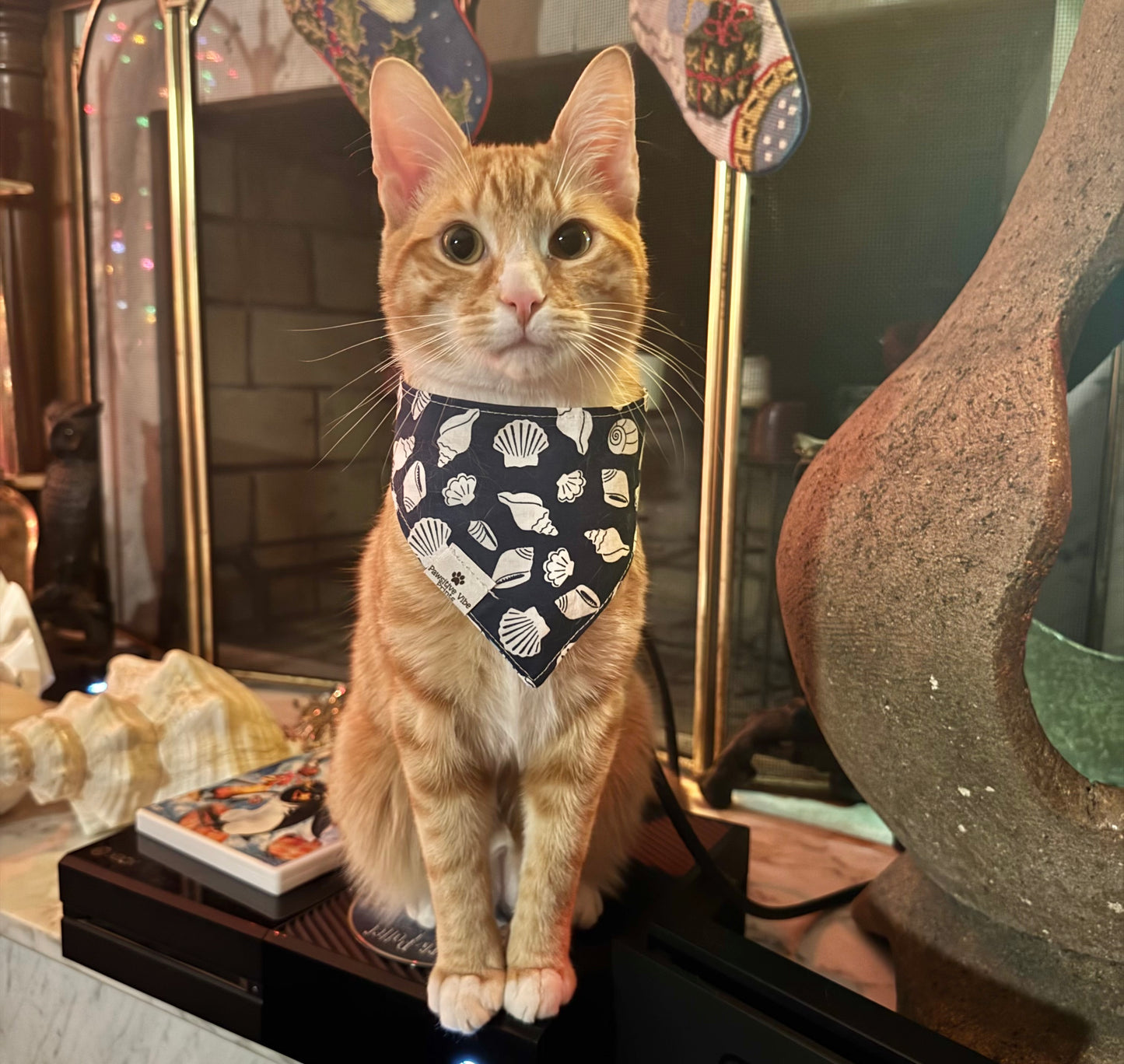 Bicycle Cat Snap Bandana