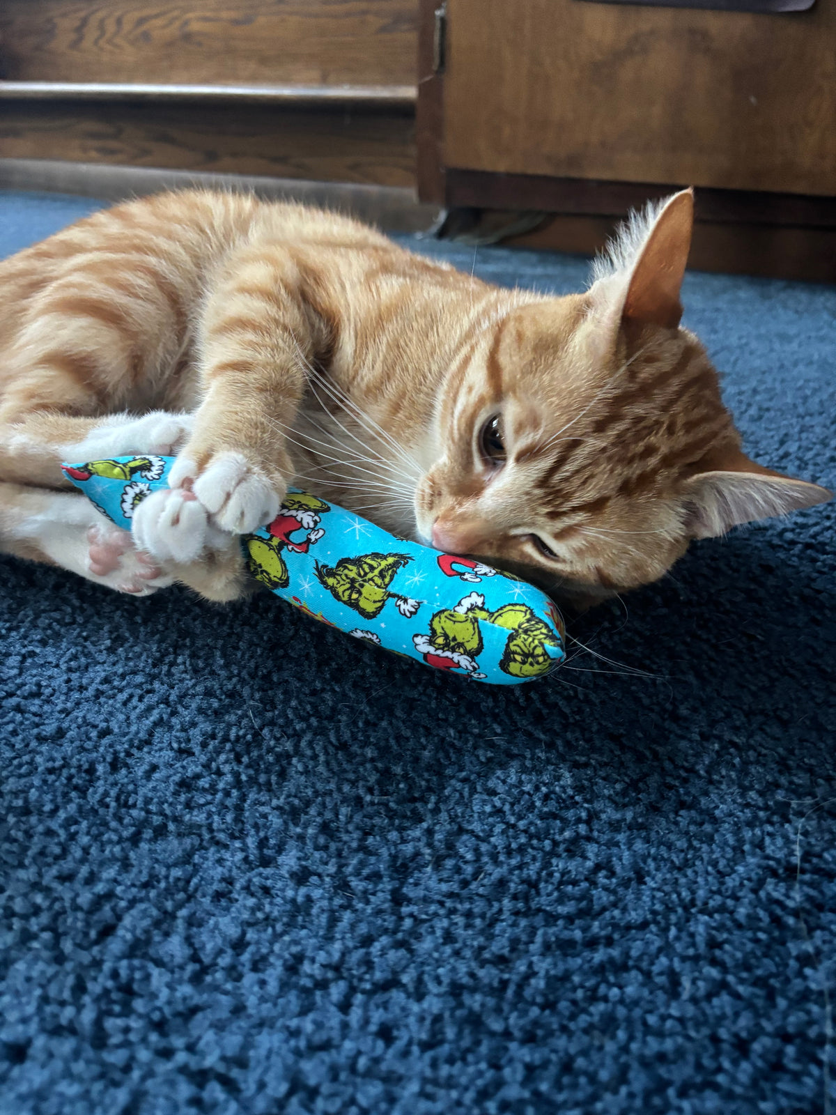 Fall Cat Kickers