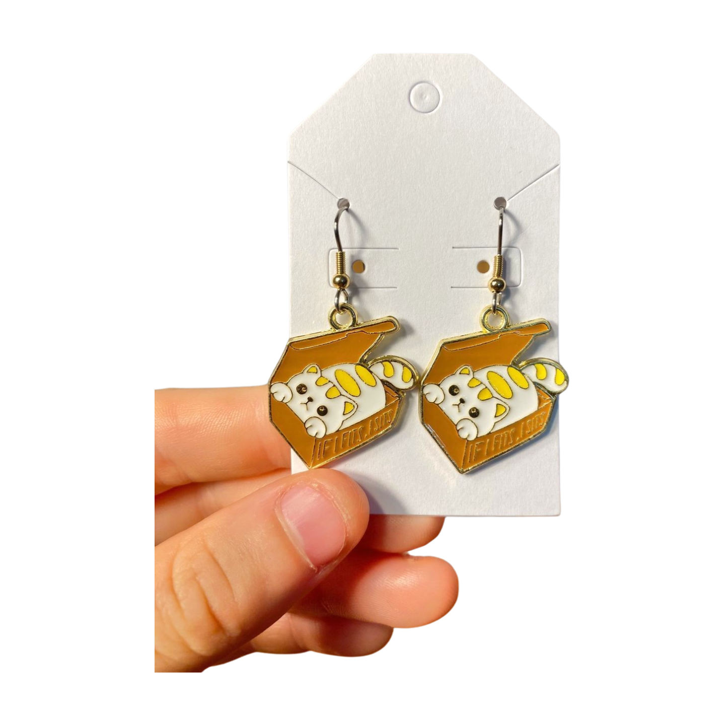 Cat in A Box Earrings