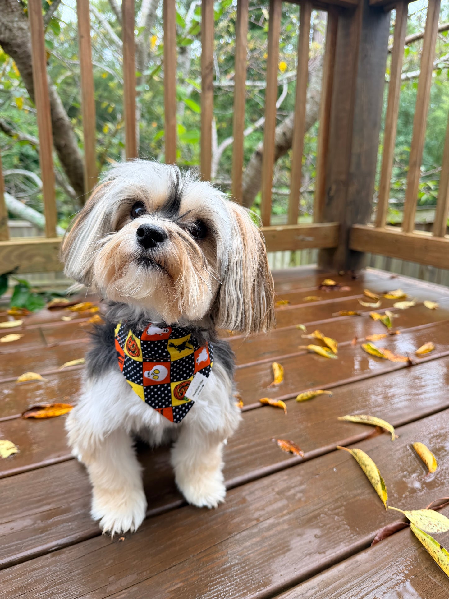 Vintage Halloween Dog Bandana