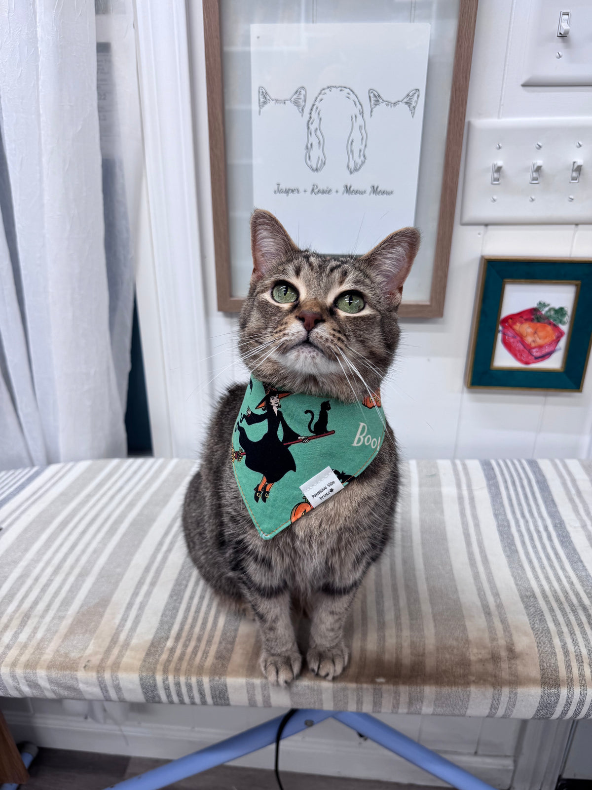 Halloween Cat Snap Bandana