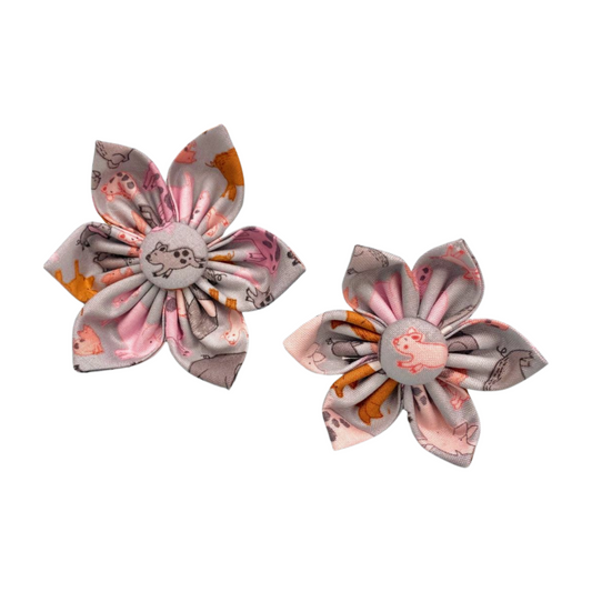 Pig Collar Flower