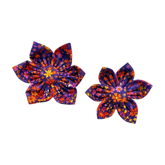 Orange and Purple Collar Flower