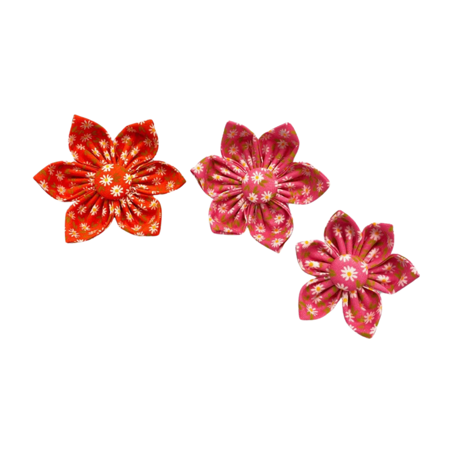 Small Floral Print Collar Flower