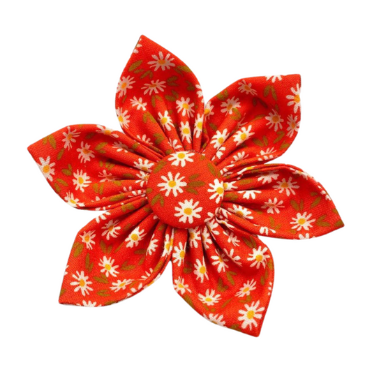 Red Daisy Collar Flower