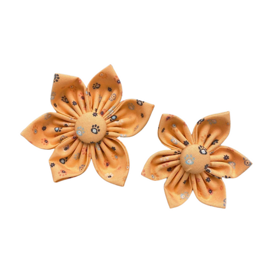 Orange Paw Print Collar Flower