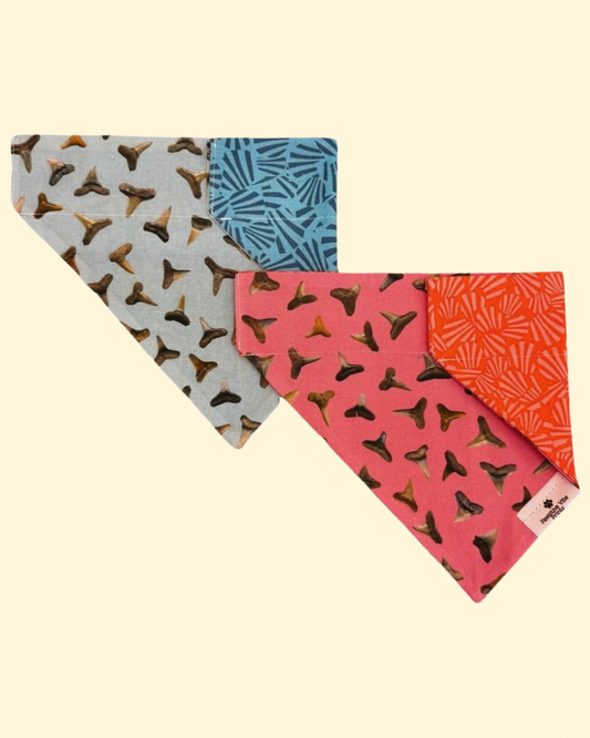 Shark Tooth Dog Bandana