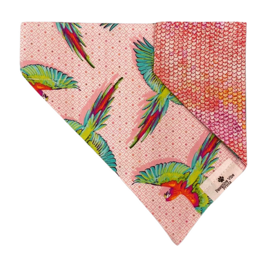 Parrot Dog Bandana