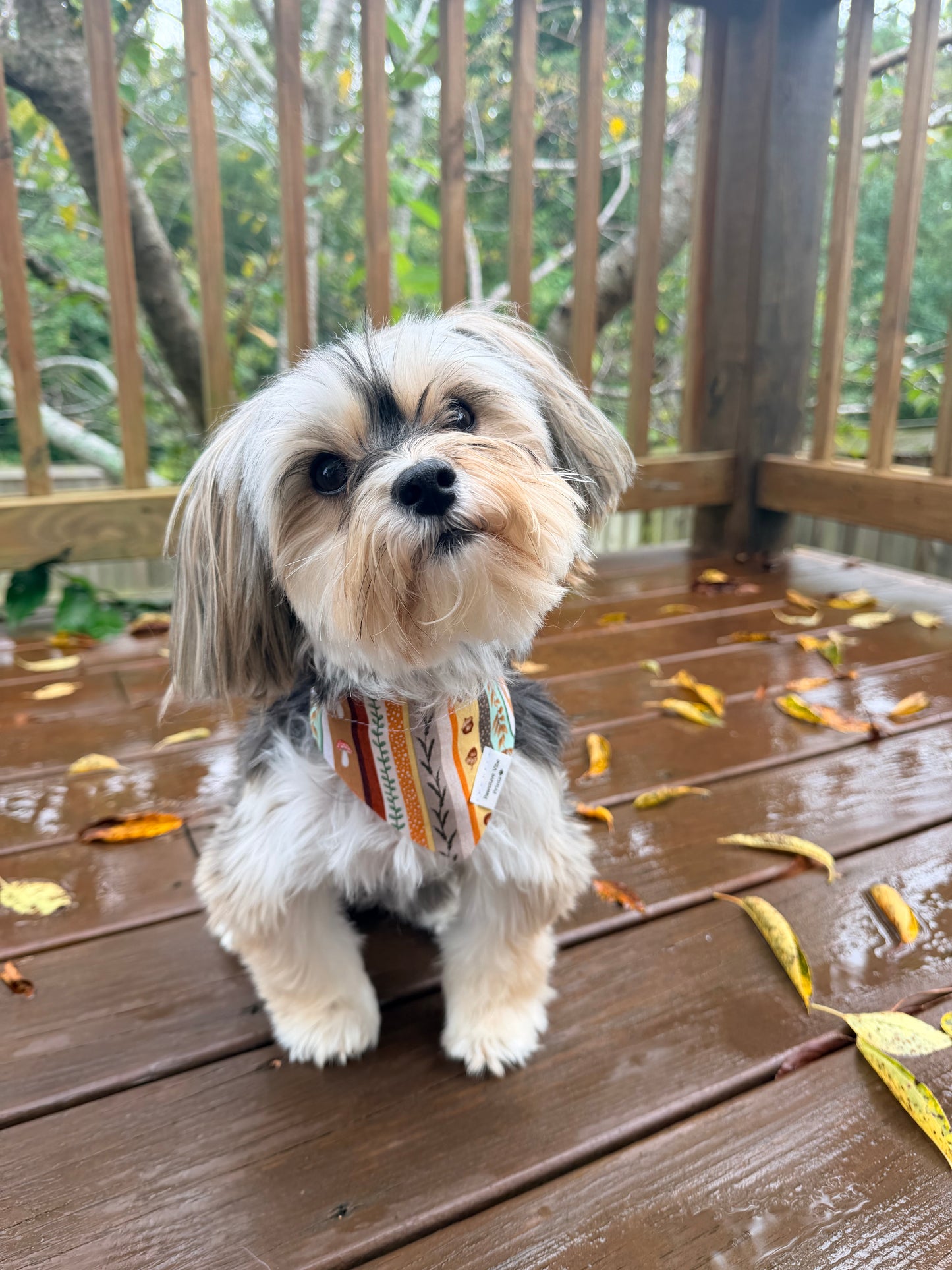 Squirrel Forest Dog Bandana