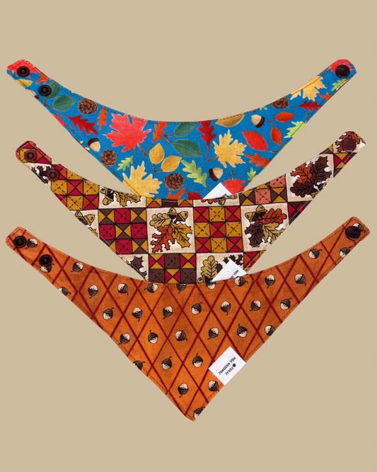 Acorn Cat Snap Bandana