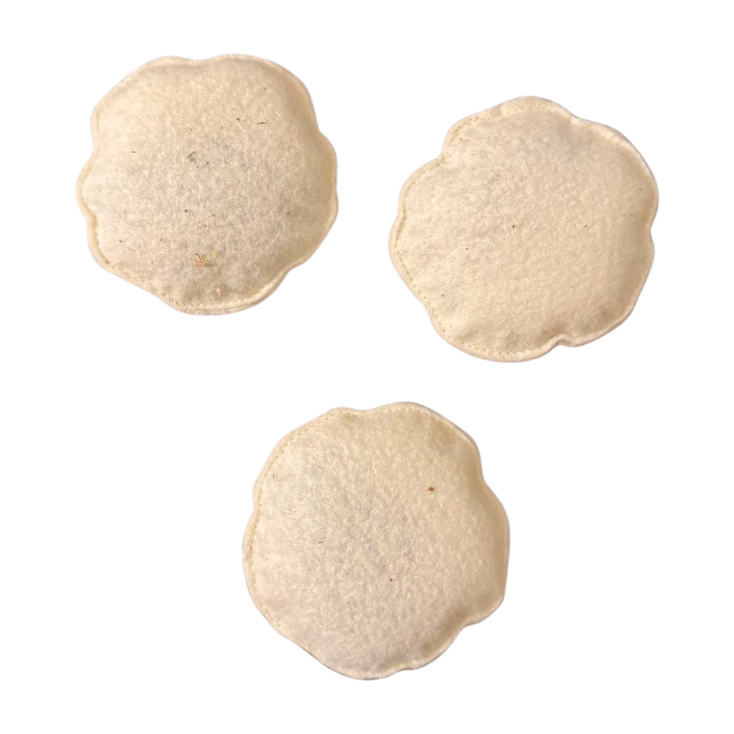 Sand Dollar Catnip Cat Toys