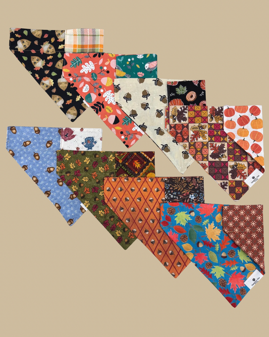 Acorn Dog Bandana