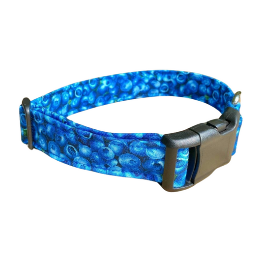 Blueberry Dog Collar