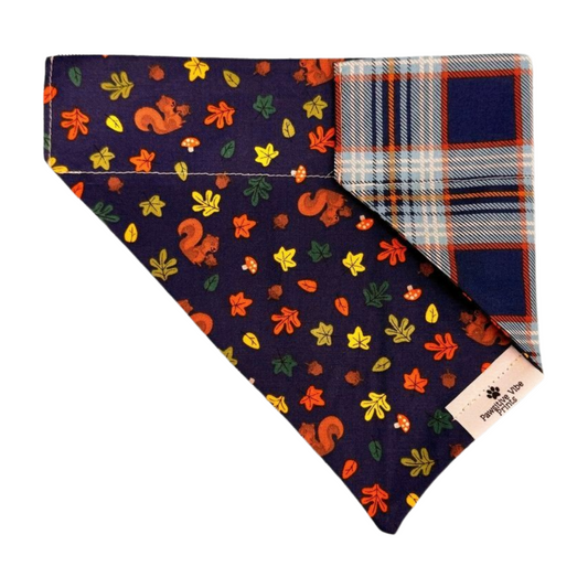 Fall Squirrels Dog Bandana