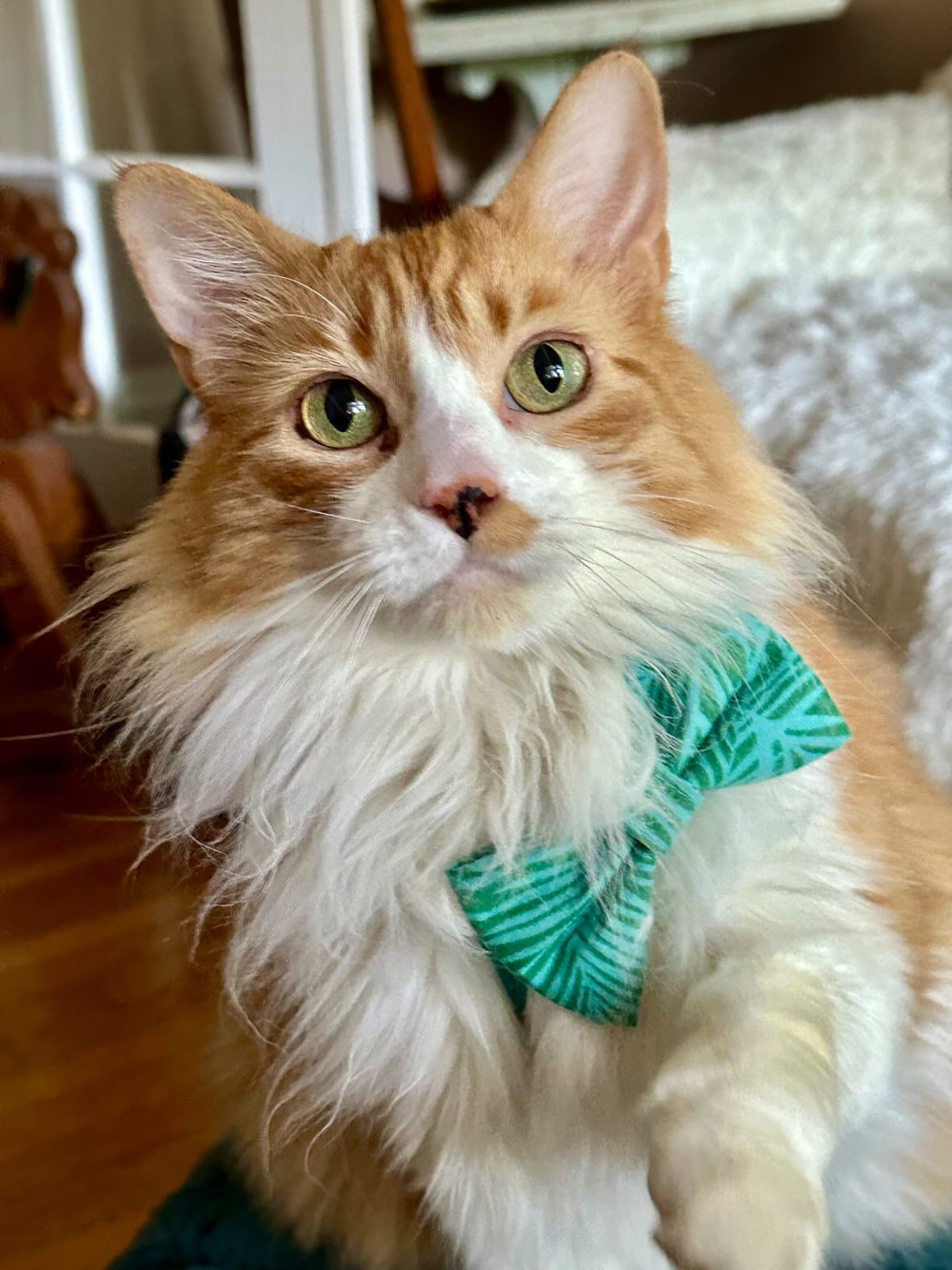 Green Candy Cane Bow Tie