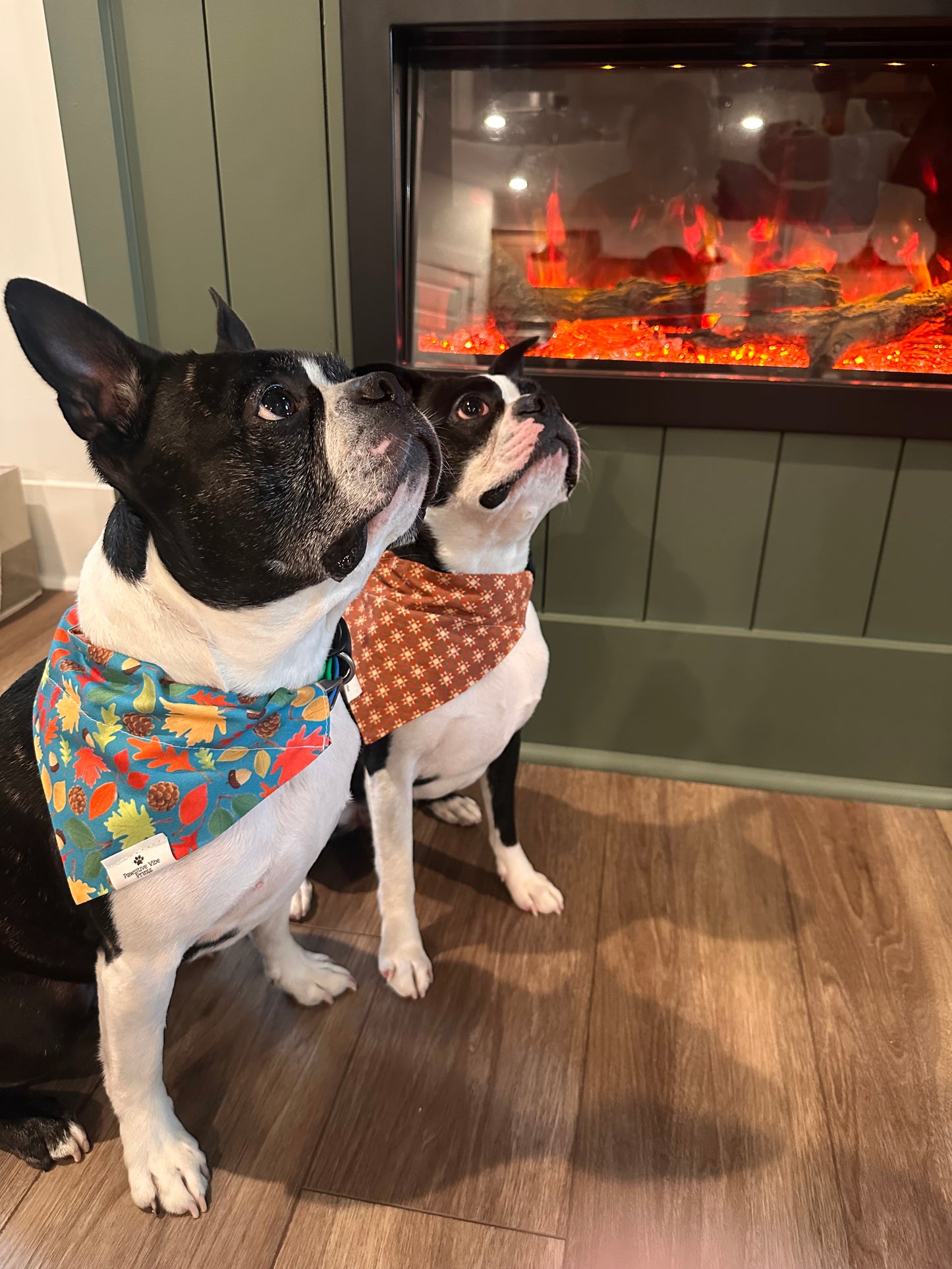 Acorn Dog Bandana