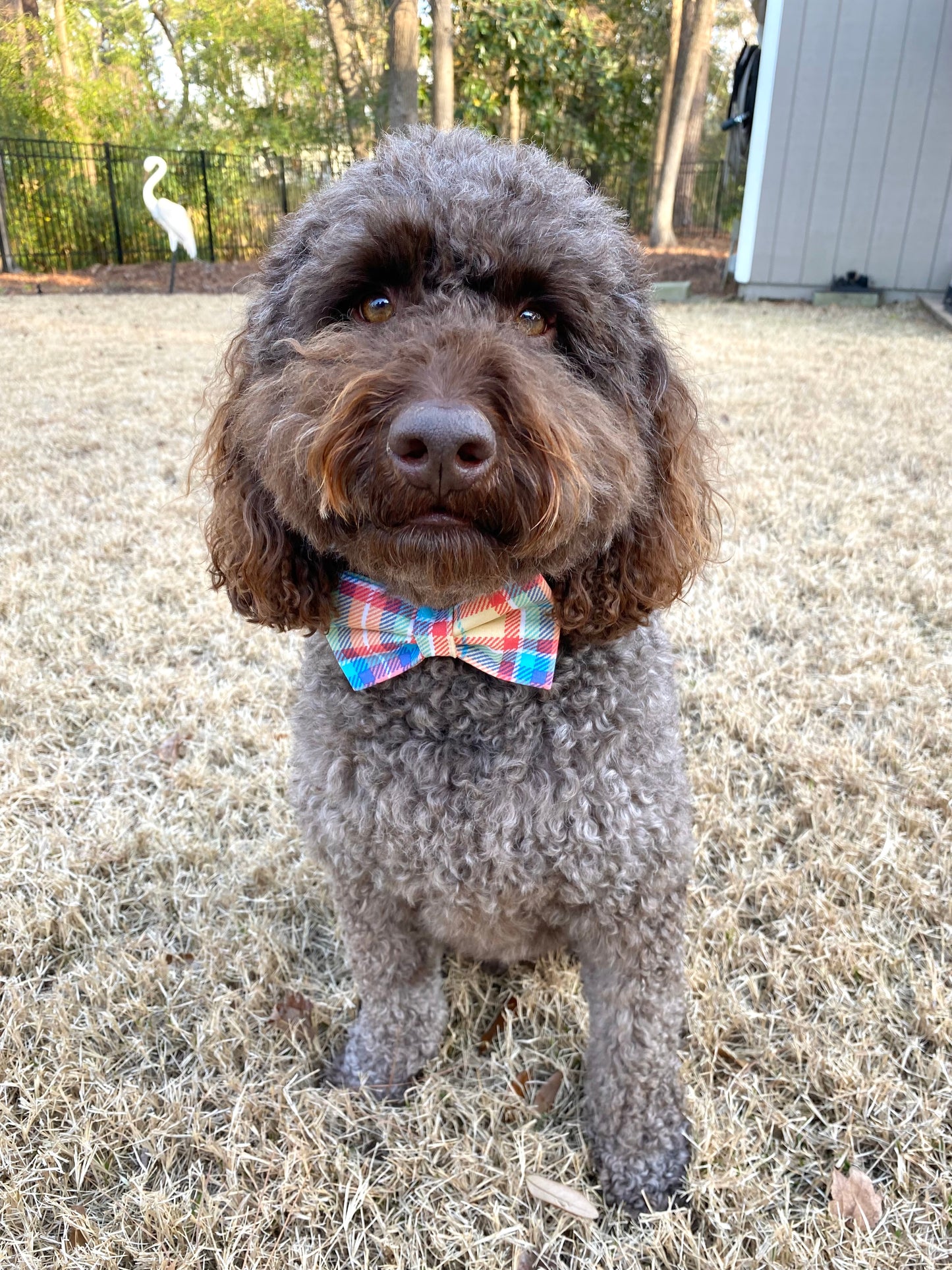 Christmas Lines Bow Tie