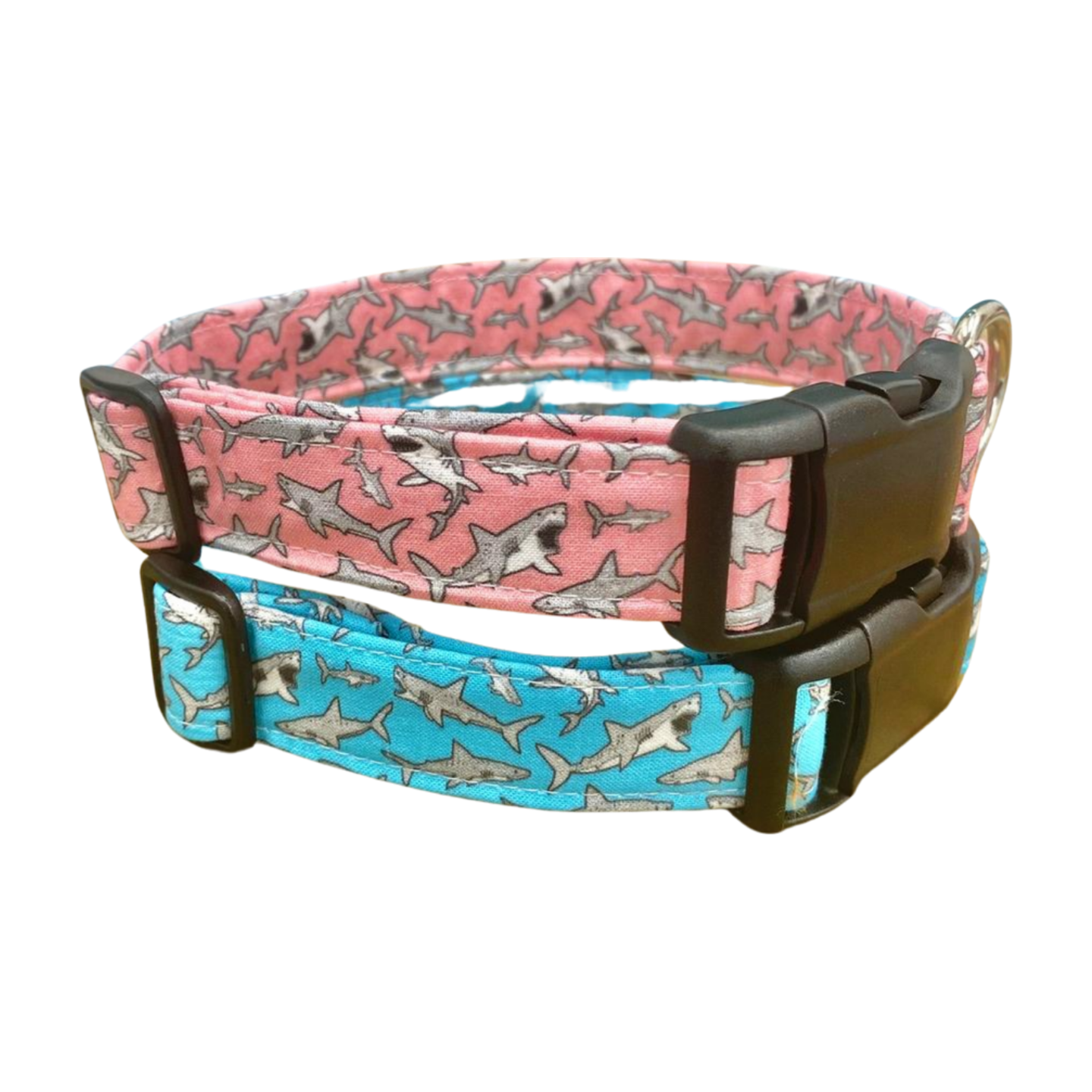 Shark Attack Dog Collar