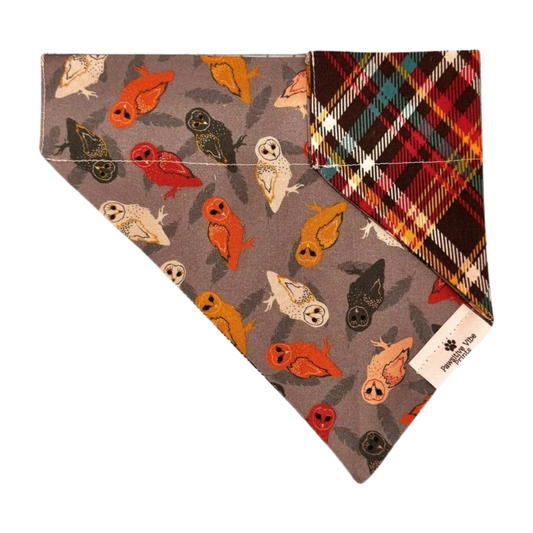 Owl O’clock Dog Bandana