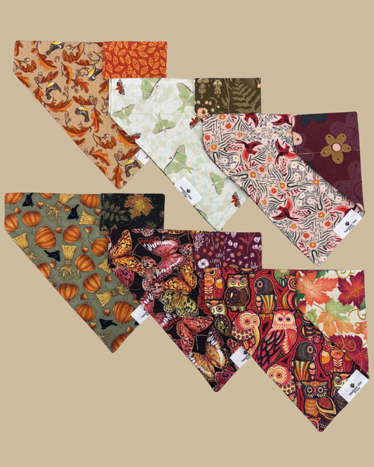 Flying Fall Critters Dog Bandana