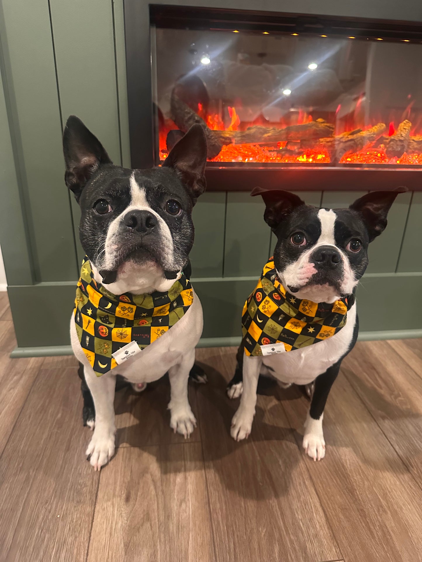 Vintage Halloween Dog Bandana