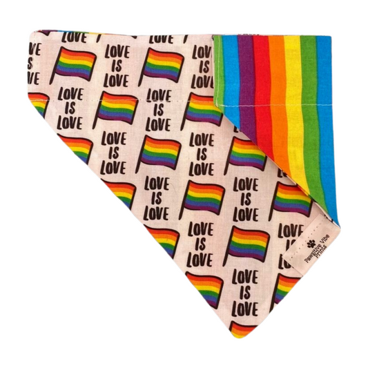 Love is Love Bandana