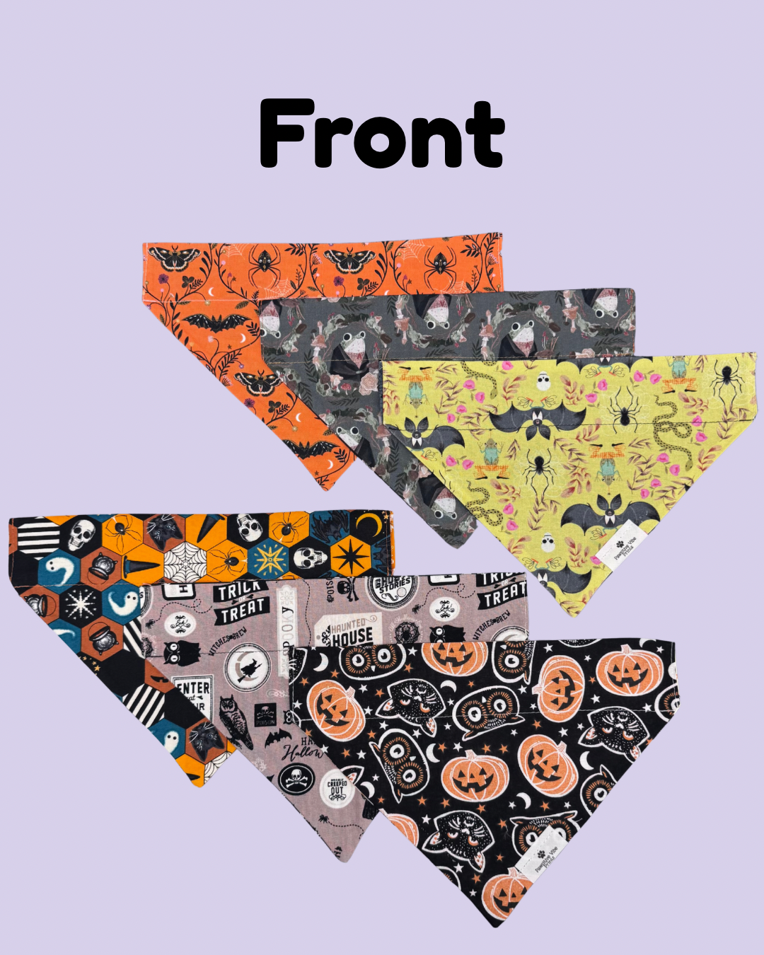 Witchy Dog Bandana