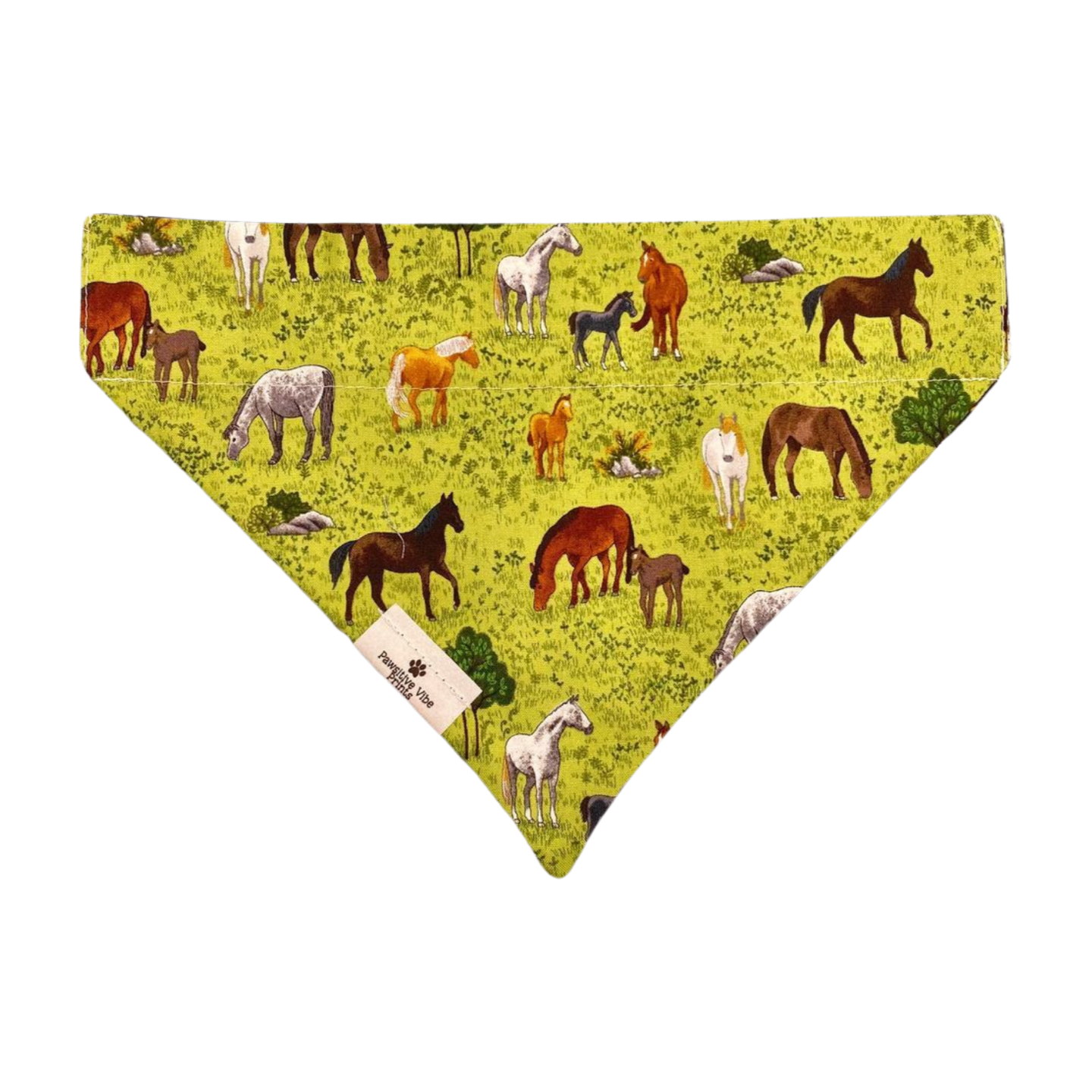 Cowboy Dog Bandana