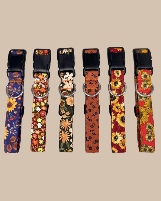 Fall Floral Dog Collar