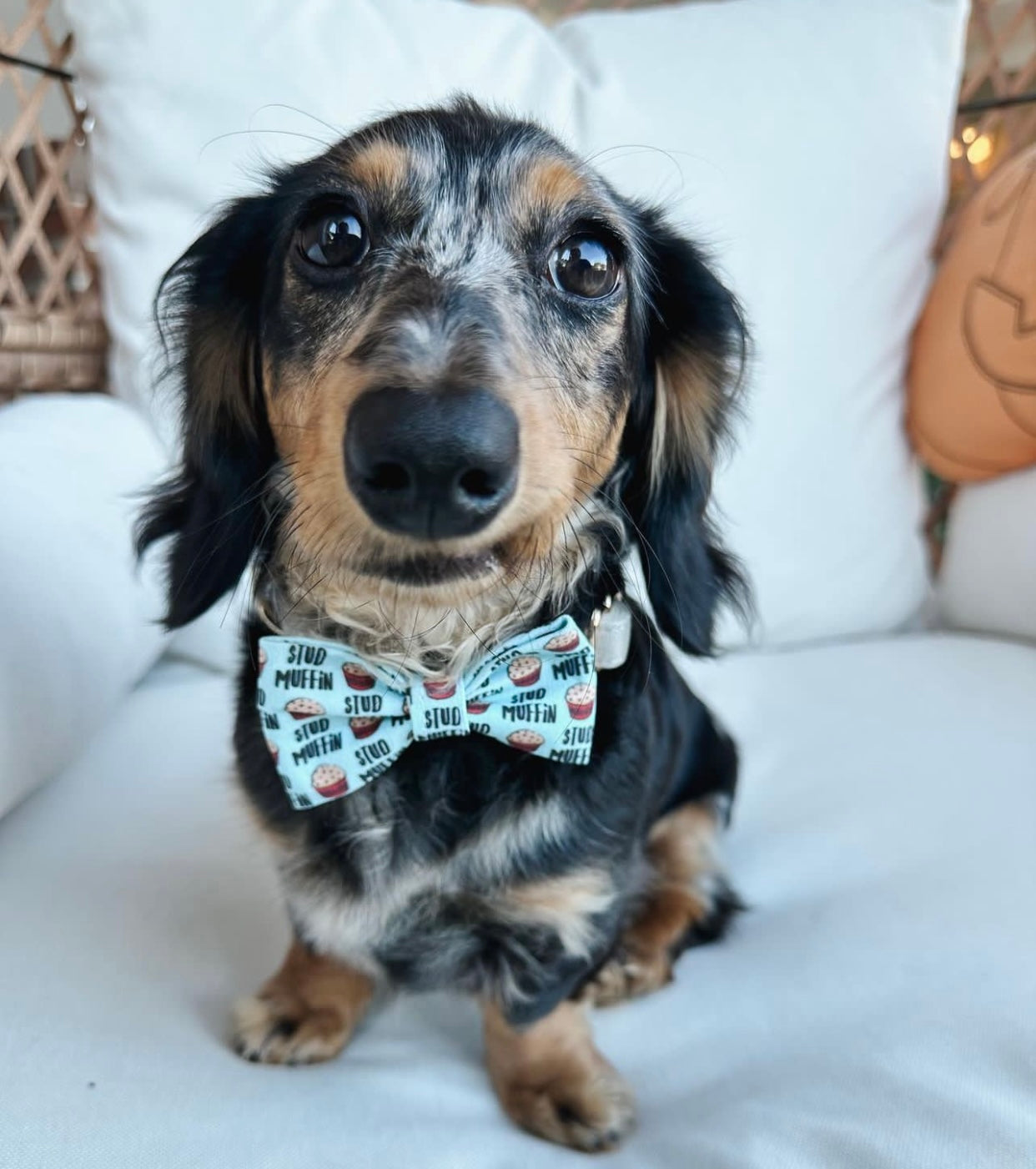 Houndstooth Winter Plaid Bow Tie