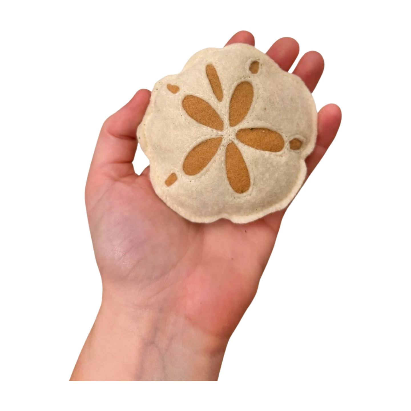 Sand Dollar Catnip Cat Toys