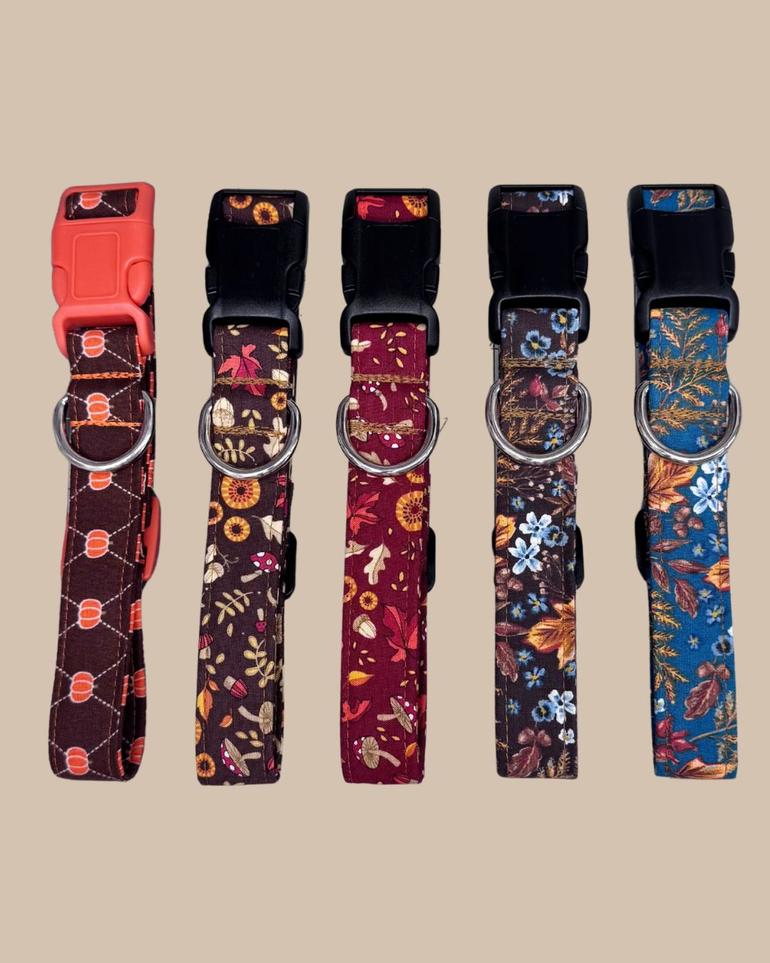 Fall Dog Collar