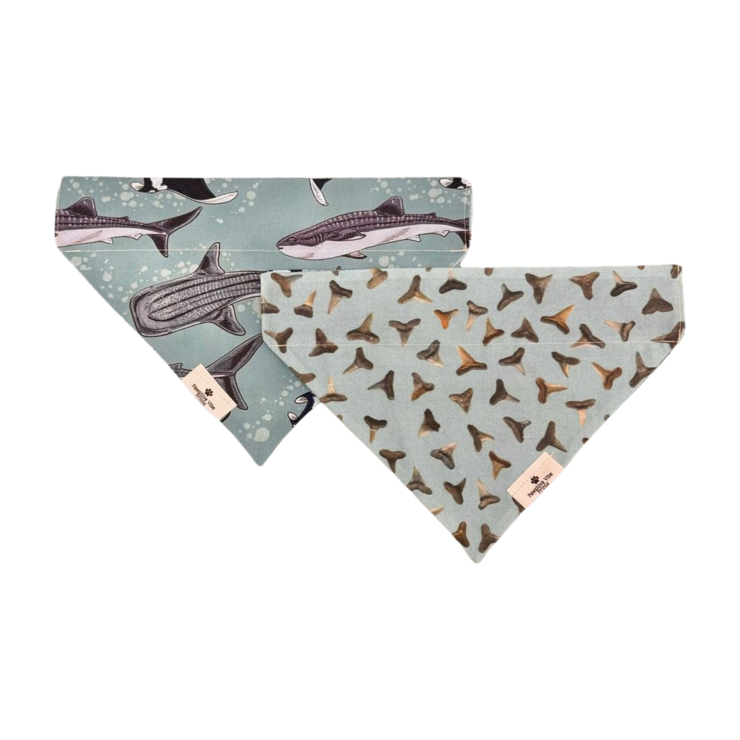 Shark Tooth Dog Bandana