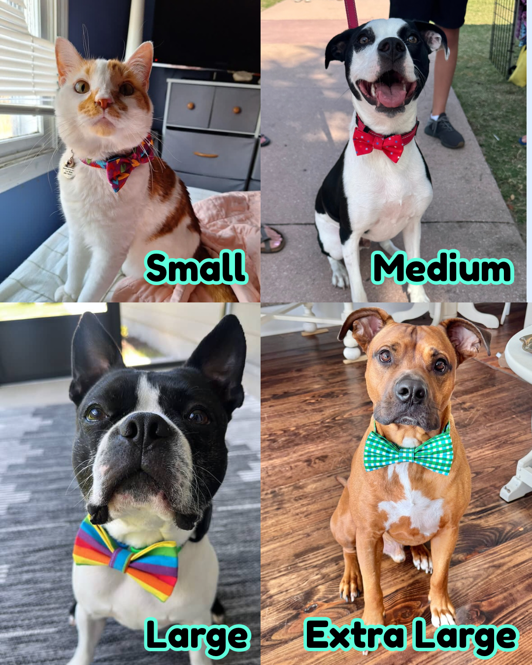 Acorn Pet Bow Tie