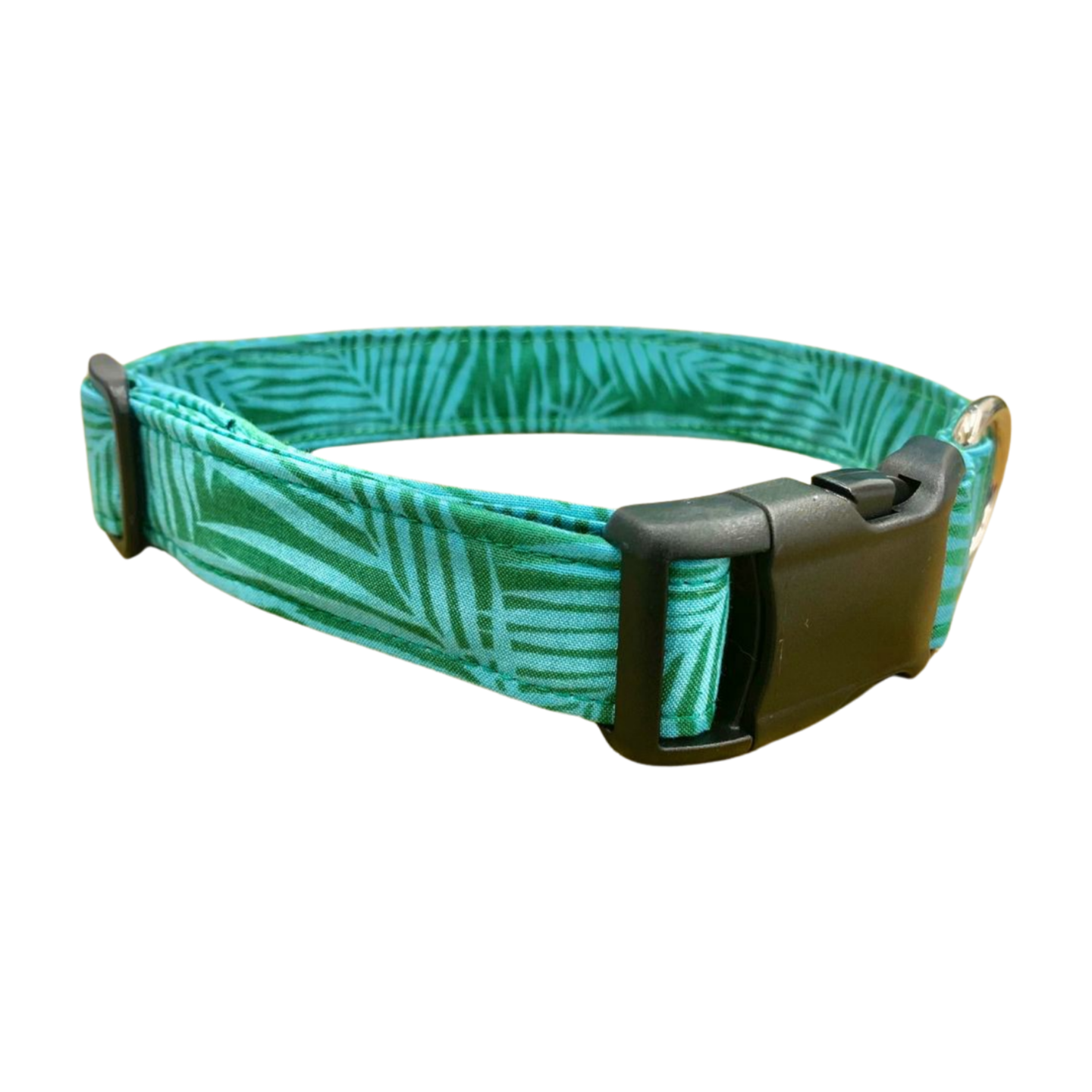 Tropical Palm Buckle Dog Collar