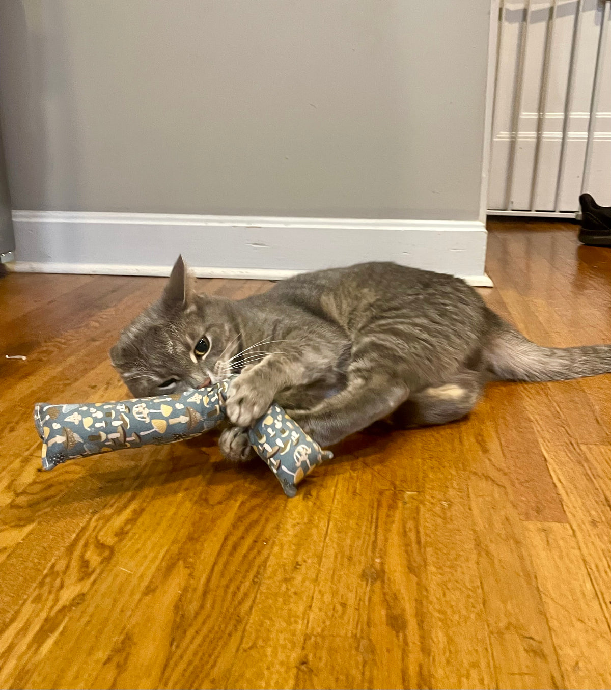 Santa’s Friends Cat Kickers