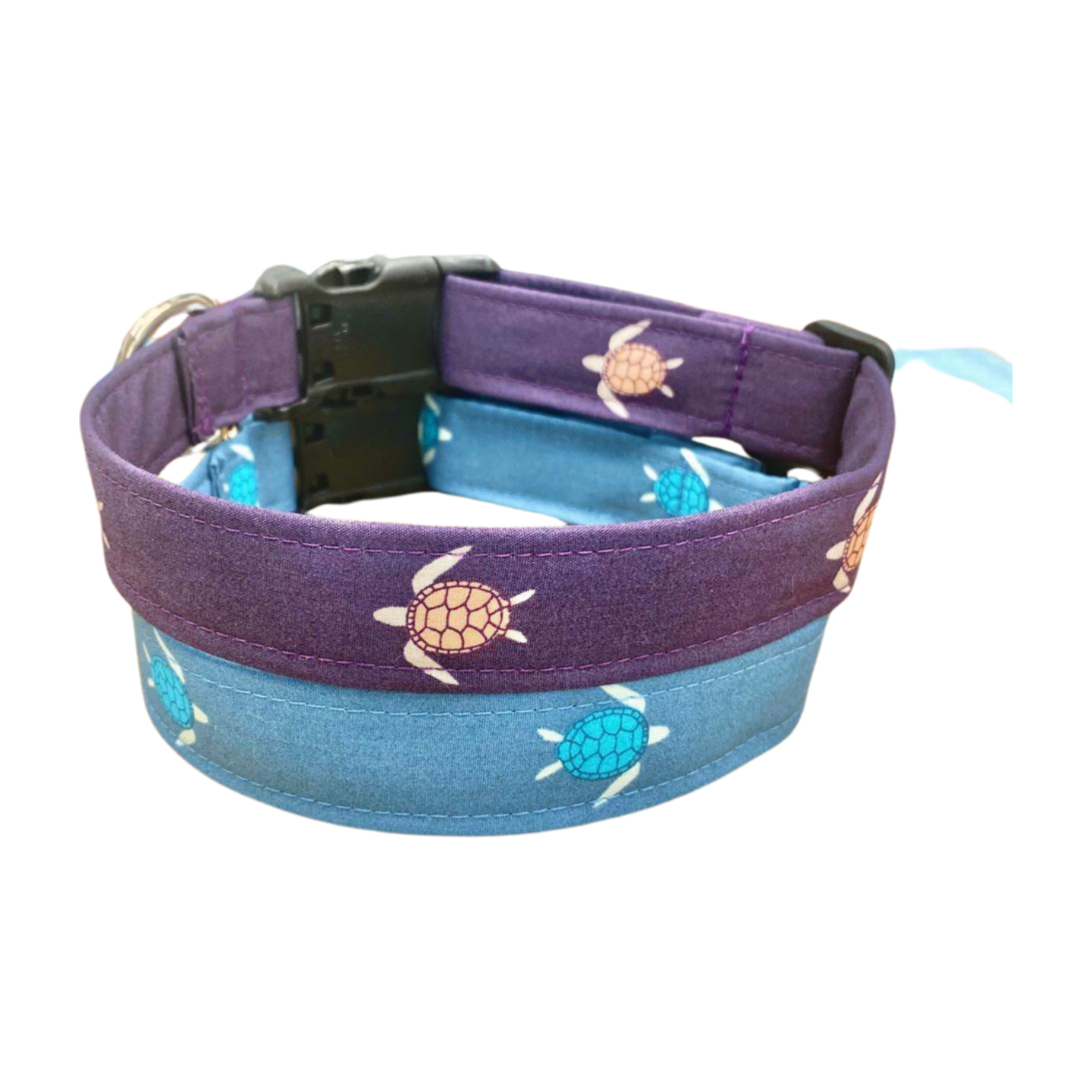 Sea turtle Dog Collar