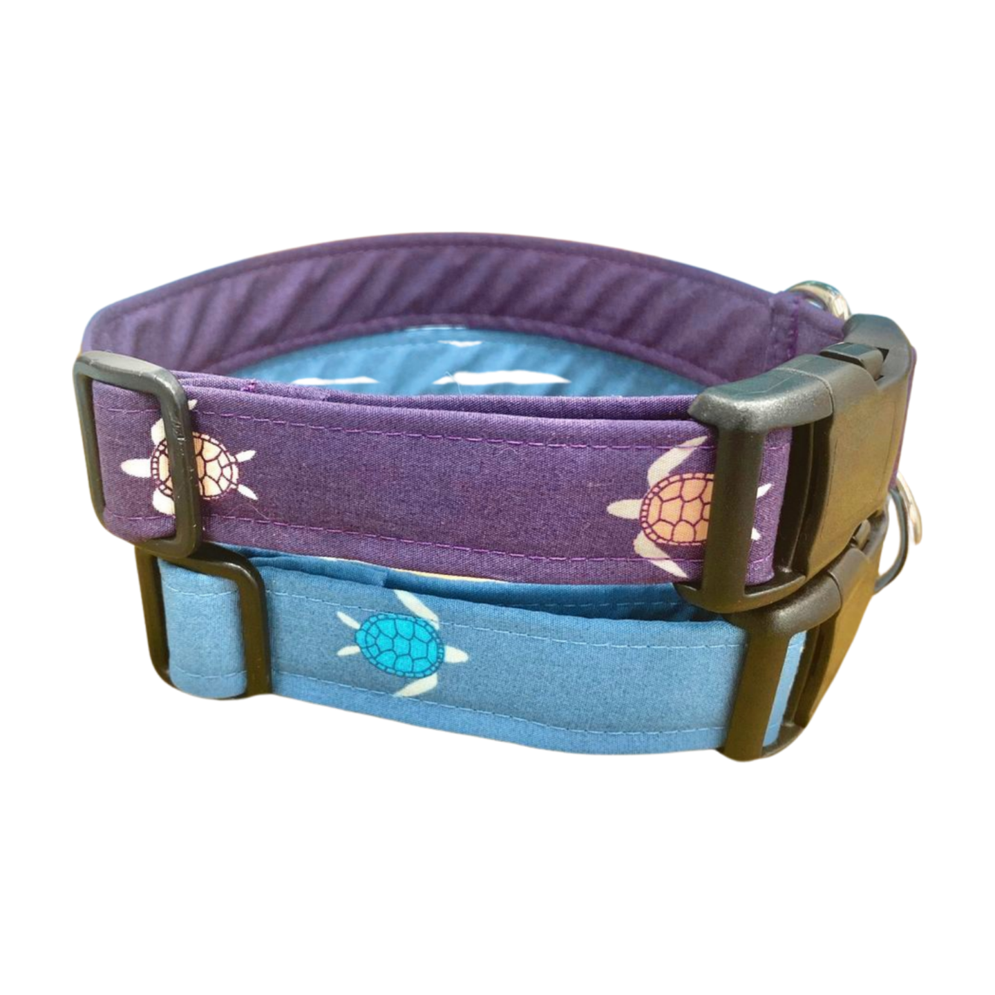 Sea turtle Dog Collar