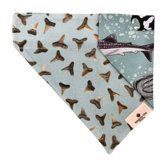 Shark Tooth Dog Bandana