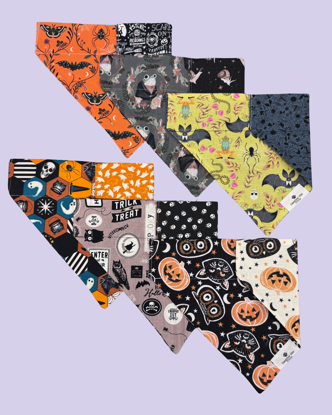 Witchy Dog Bandana
