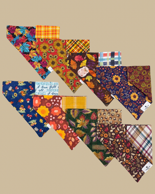 Fall Floral Dog Bandana