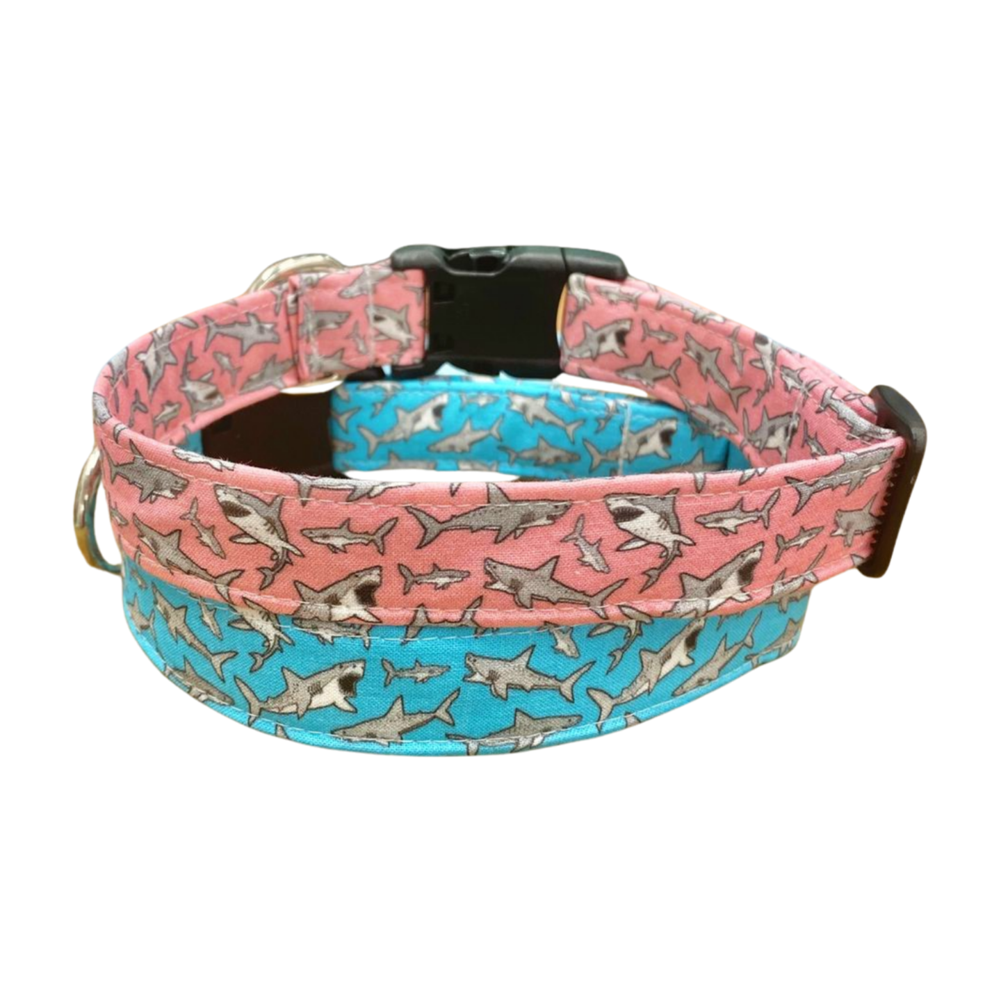 Shark Attack Dog Collar