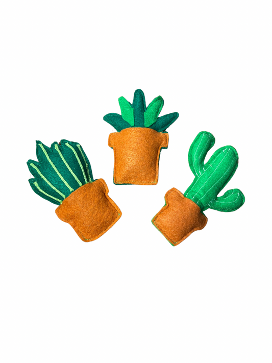 Succulent Cat Toys