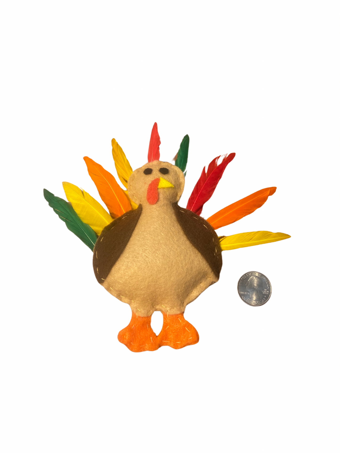 Turkey Cat Toy